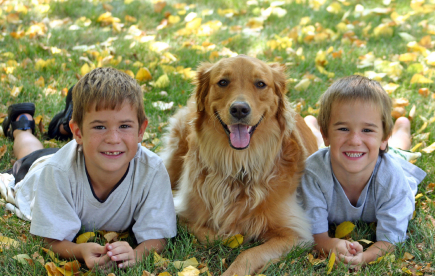 kids-and-pets