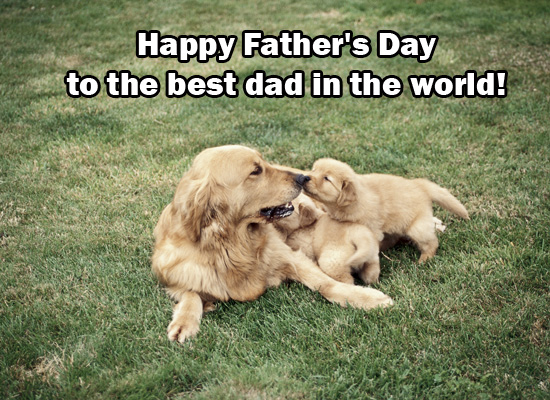 happy puppy fathers day