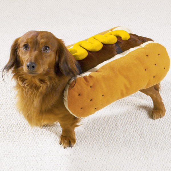 hotdog-halloween-dog-costumes